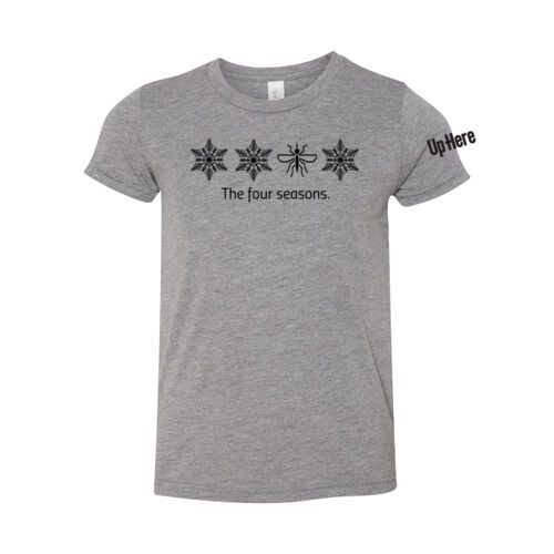 Bella Triblend Youth Four Seasons Printed T-Shirt Thumbnail